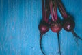 A bunch of fresh beets on old blue wooden table. Copy space. Healthy food. Raw Vegetables Royalty Free Stock Photo