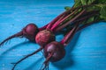 A bunch of fresh beets on old blue wooden table. Copy space. Healthy food. Raw Vegetables Royalty Free Stock Photo