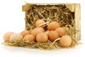 Bunch of fresh brown eggs Royalty Free Stock Photo