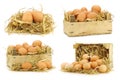 Bunch of fresh brown eggs and some straw in a wooden crate Royalty Free Stock Photo