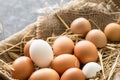 Bunch of fresh brown eggs in a wooden crate Royalty Free Stock Photo