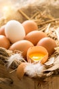 Bunch of fresh brown eggs in a wooden crate. Royalty Free Stock Photo