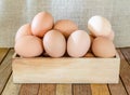 Bunch of fresh brown eggs Royalty Free Stock Photo