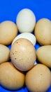 Bunch of fresh brown speckled eggs Royalty Free Stock Photo