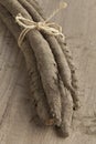 Bunch of fresh burdock taproots Royalty Free Stock Photo