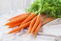 Bunch of fresh carrot Royalty Free Stock Photo