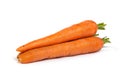 Bunch of fresh carrot isolated on white Royalty Free Stock Photo