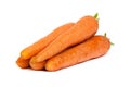 Bunch of fresh carrot isolated on white Royalty Free Stock Photo