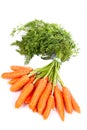 Bunch of fresh carrots Royalty Free Stock Photo