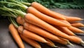 Bunch of fresh carrots