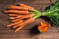 Bunch of fresh carrots with green leaves and glass of carrot juice on wooden table, top view Royalty Free Stock Photo