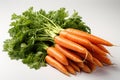 Bunch of fresh carrots with green leaves isolated on white background. Royalty Free Stock Photo