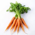 Bunch of fresh carrots with green leaves isolated on white background. Healthy food. Royalty Free Stock Photo