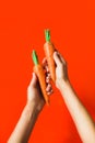 A bunch of fresh carrots in hand on red background Royalty Free Stock Photo