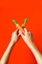 A bunch of fresh carrots in hand on red background Royalty Free Stock Photo