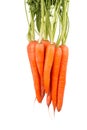 Bunch of fresh carrots isolated on a white Royalty Free Stock Photo