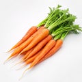 Bunch of fresh carrots isolated on white background. Royalty Free Stock Photo