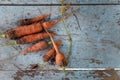 Bunch of fresh carrots on old wooden blue table background. Organic vegetables, vegetarian food. Royalty Free Stock Photo