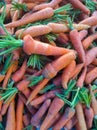 Bunch of fresh carrots for sale at the local farmers market. Royalty Free Stock Photo
