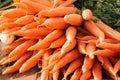 Bunch of fresh Carrots. Royalty Free Stock Photo