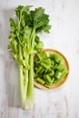 Bunch of fresh celery stalk with leaves Royalty Free Stock Photo