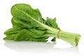 A bunch of fresh chard leaves on white background