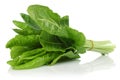 A bunch of fresh chard leaves on white background