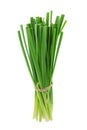 A bunch of fresh Chinese chives