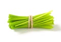 Bunch of fresh chives Royalty Free Stock Photo