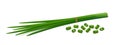 Bunch of fresh chives with chopped green onions on white background