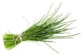 A bunch of fresh chives Royalty Free Stock Photo