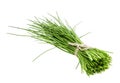 A bunch of fresh green chives Royalty Free Stock Photo