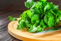 bunch of fresh cilantro on the boards, fresh herbs on wooden table. Royalty Free Stock Photo