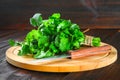 bunch of fresh cilantro on the boards, fresh herbs on wooden table. Royalty Free Stock Photo