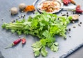 Bunch of fresh coriander herb with spices Royalty Free Stock Photo