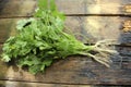 Bunch of fresh coriander Royalty Free Stock Photo