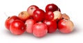 A bunch of fresh cranberries isolated on a white background Royalty Free Stock Photo