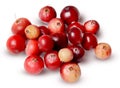 A bunch of fresh cranberries isolated on a white background Royalty Free Stock Photo