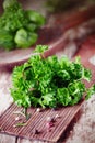 Bunch of fresh crinkly parsley Royalty Free Stock Photo