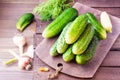 A bunch of fresh cucumbers, dill and garlic on a wooden table Royalty Free Stock Photo