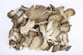 Bunch of fresh cultivated gray oyster mushrooms on white background. Studio Photo