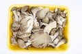 Bunch of fresh cultivated gray oyster mushrooms on white background. Studio Photo