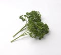 Bunch of fresh curly parsley isolated on white