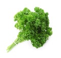 Bunch of fresh curly parsley on background