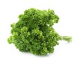 Bunch of fresh curly parsley on background