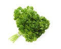 Bunch of fresh curly parsley on white background Royalty Free Stock Photo