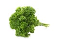 Bunch of fresh curly parsley on white background Royalty Free Stock Photo