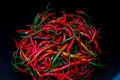 a bunch of fresh curly red chilies (Cabai Merah Keriting) on basket, harvested from fields by Indonesian local farmers. Royalty Free Stock Photo