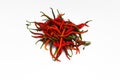 a bunch of fresh curly red chilies (Cabai Merah Keriting) isolated on white background. Royalty Free Stock Photo