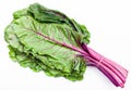 Bunch of fresh cut beet tops on white Royalty Free Stock Photo